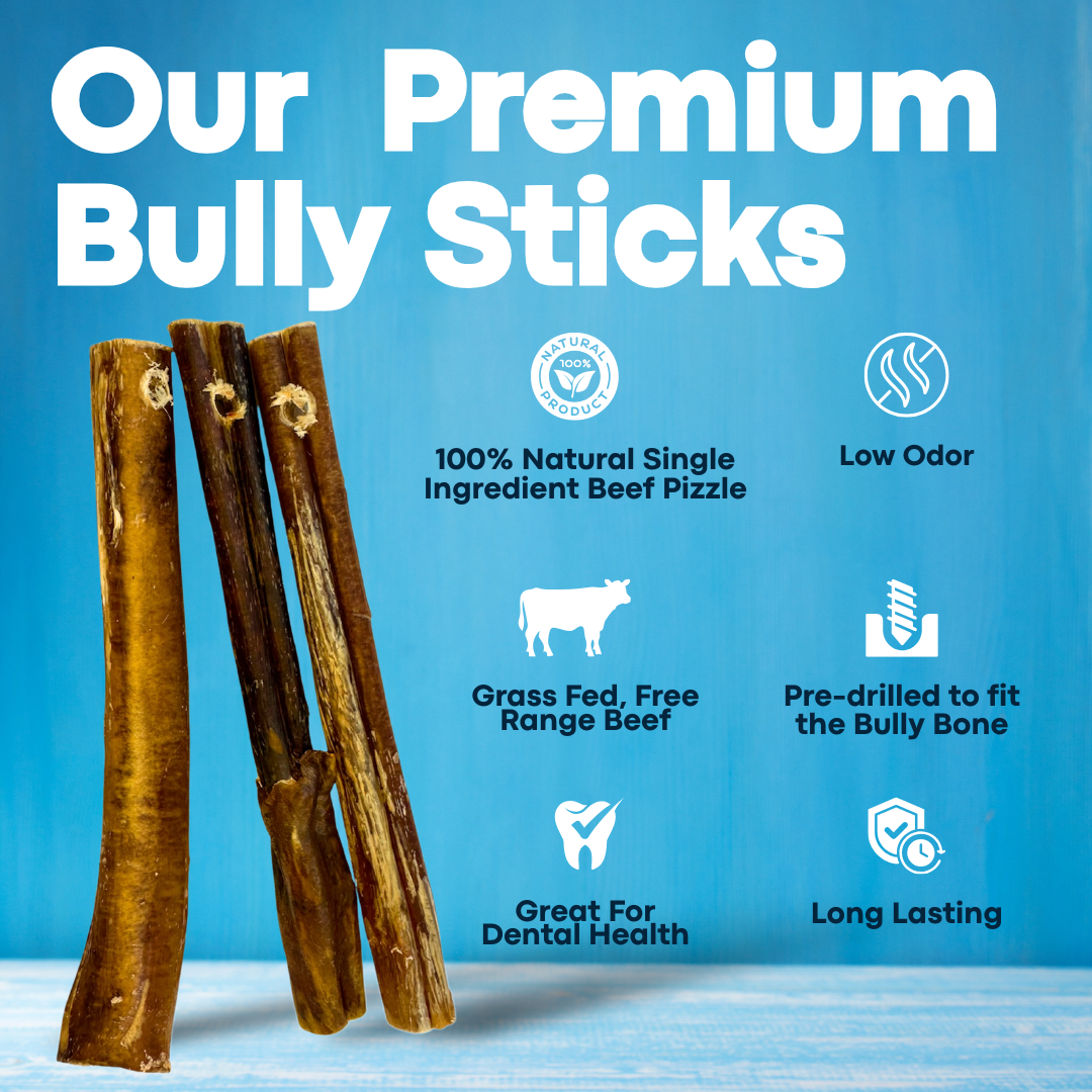 7" Standard Bully Sticks - Bully Bone Included - Image 4