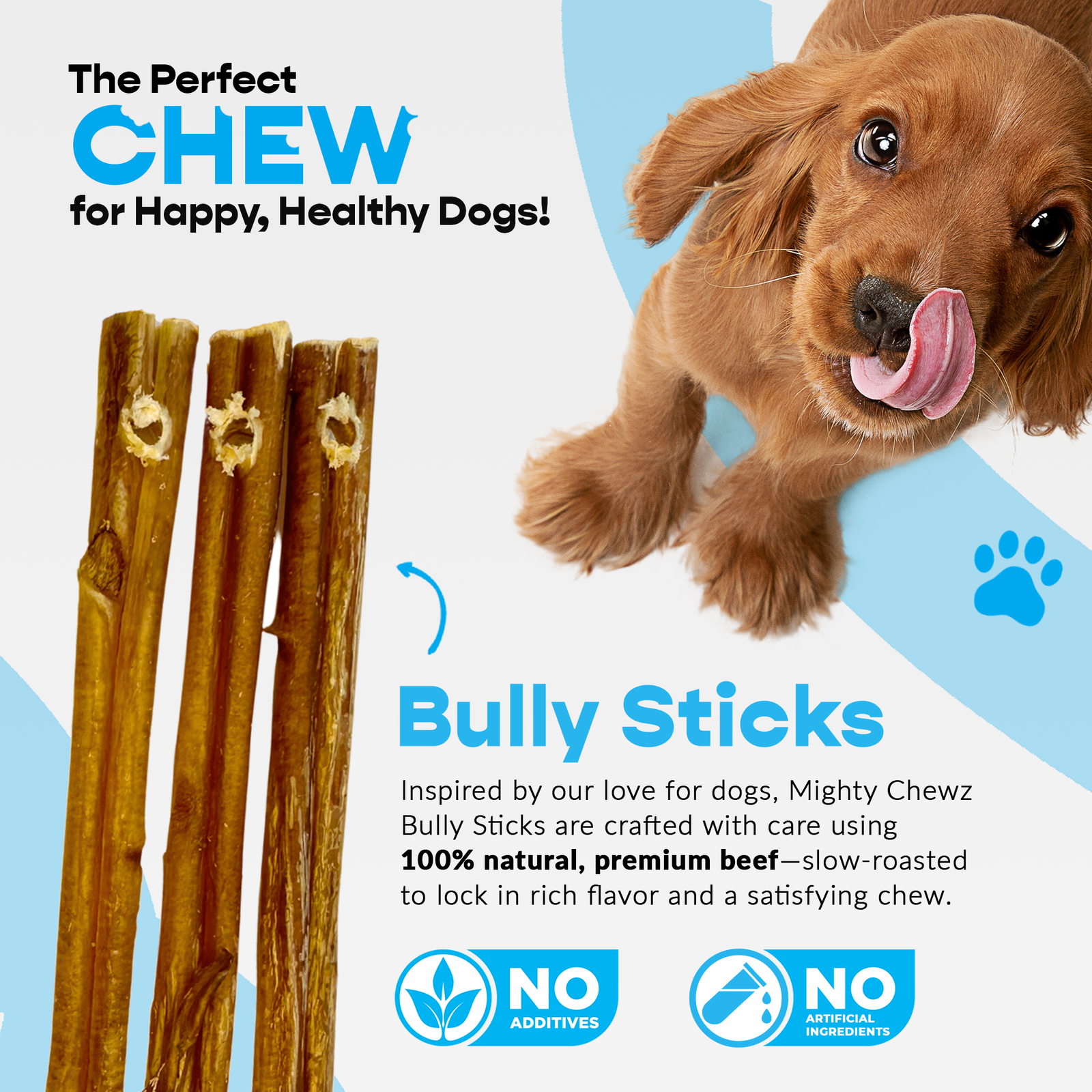 12" Thick Bully Sticks - Refill Pack - Image 2