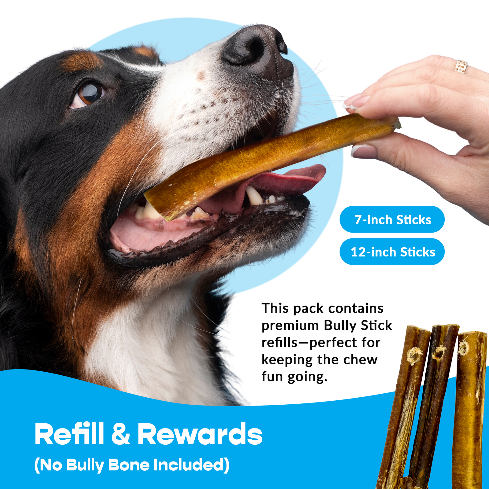 12" Thick Bully Sticks - Refill Pack - Image 5
